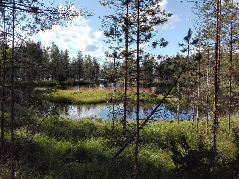 Fínsky národný park