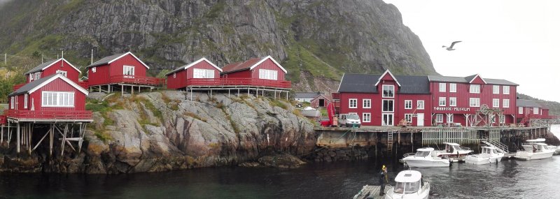 Dedina Å