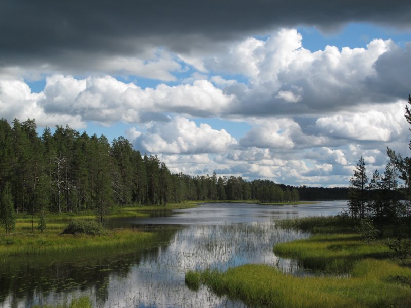 Jazero Tiilikkajärvi 2.