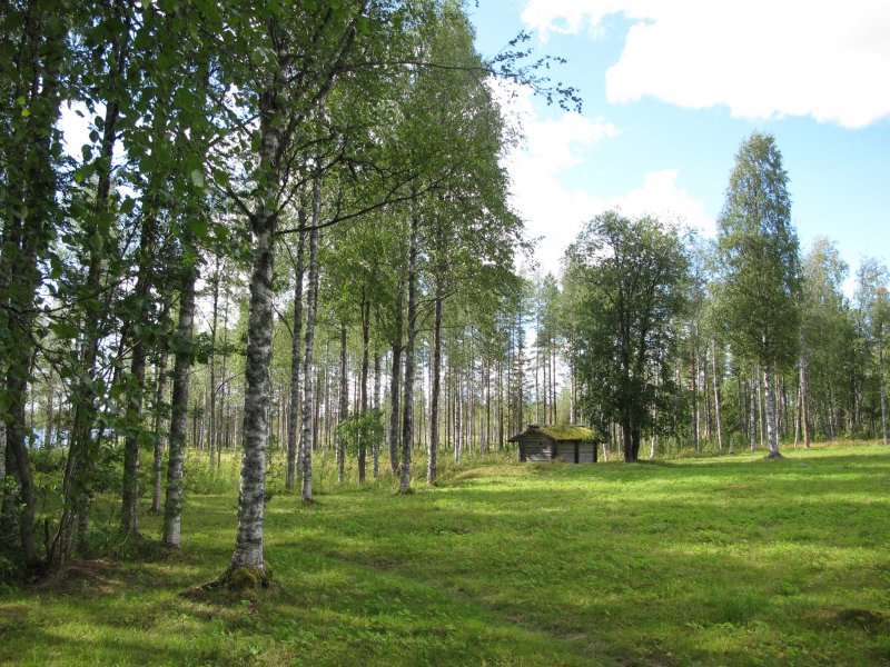 V NP Tiilikkajärvi