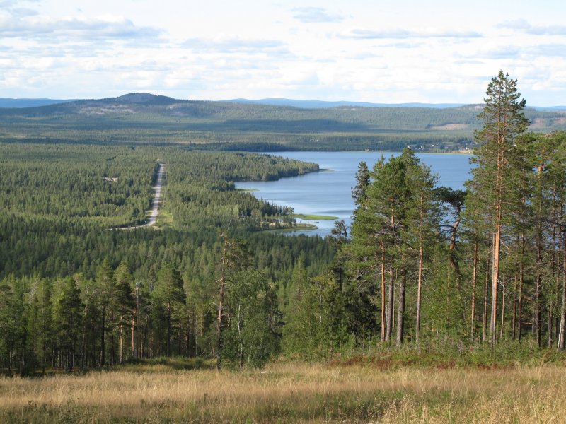 Lesy okolo Pyhäjärvi