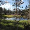 Fínsky národný park