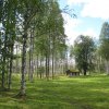 V NP Tiilikkajärvi