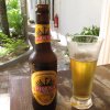 Pivo Phoenix