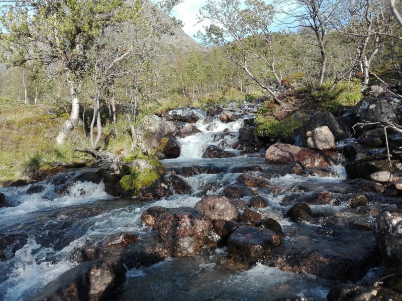 Riečka Innervikselva