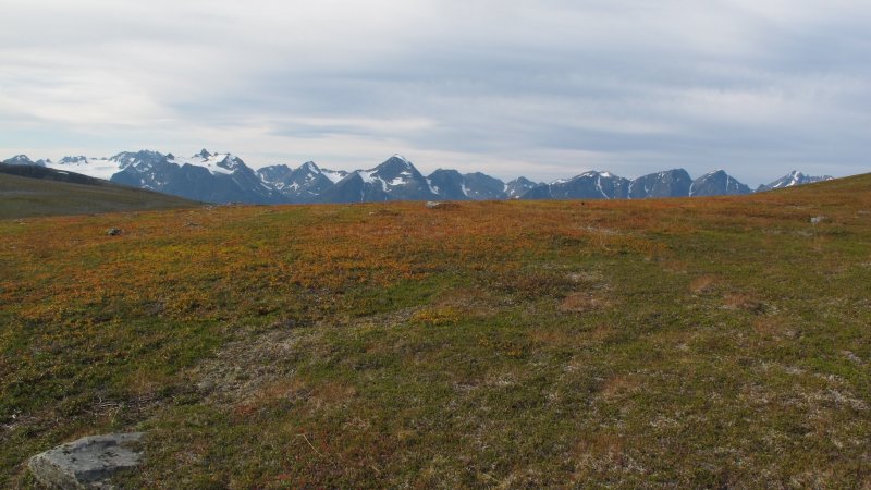 Vrcholky Lyngénskych Álp
