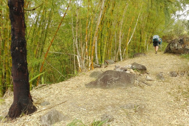 Stúpame okolo mladých bambusov