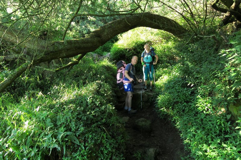 Priatelia pod Tamarínom