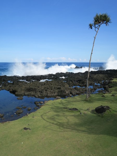 Krásy južného pobrežia