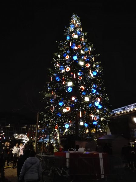 Vianočný strom v noci