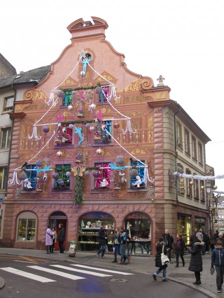 Biely strom, ružový dom