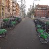 Bicykle a aleje stromov
